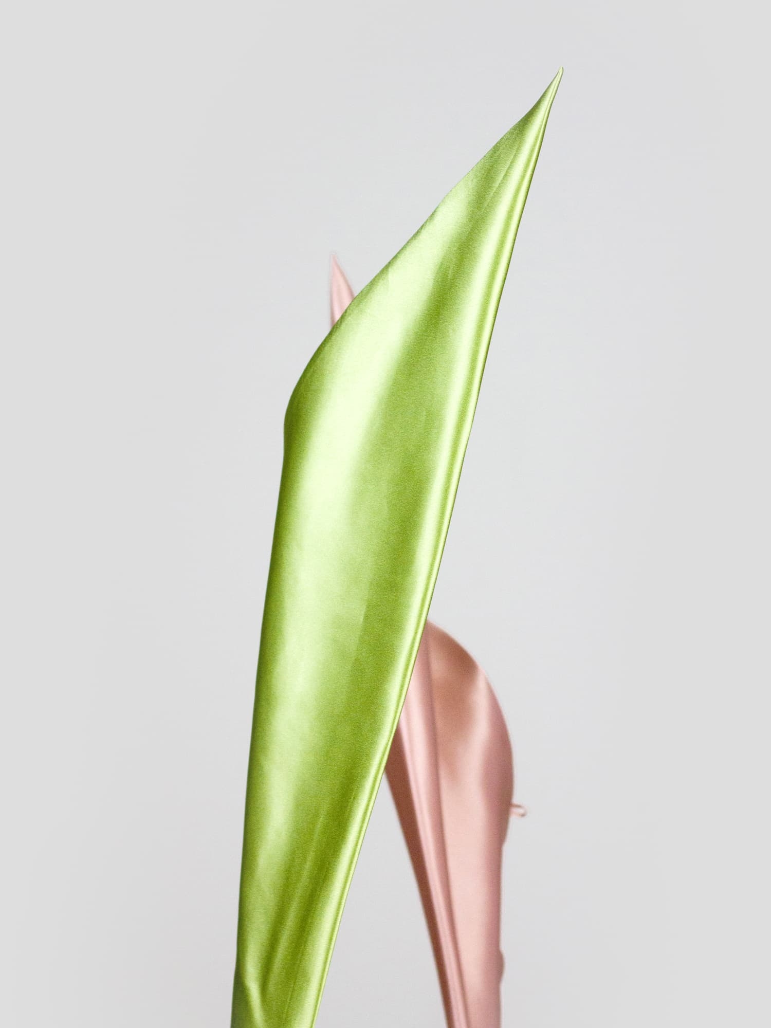 Niki (lind und rosa)